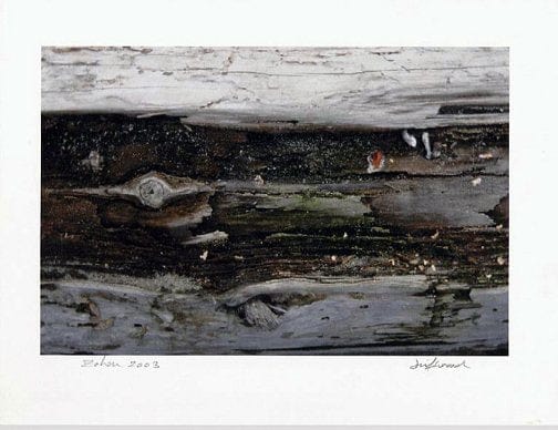 Zohar photo Driftwood 141 Art Works Gallery