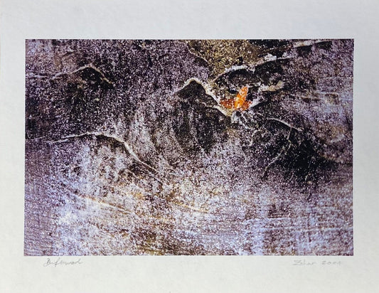 Zohar photo Driftwood 143 Art Works Gallery