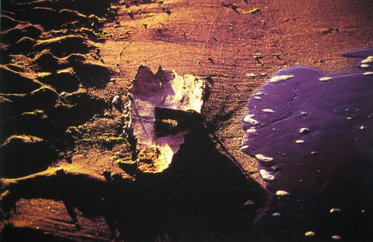 Zohar photo Driftwood 146  1/200 Art Works Gallery