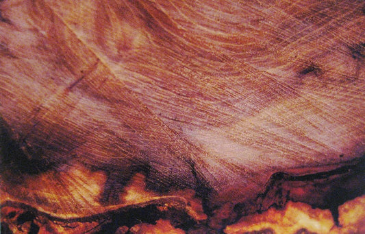 Zohar photo Driftwood 147  1/200 Art Works Gallery