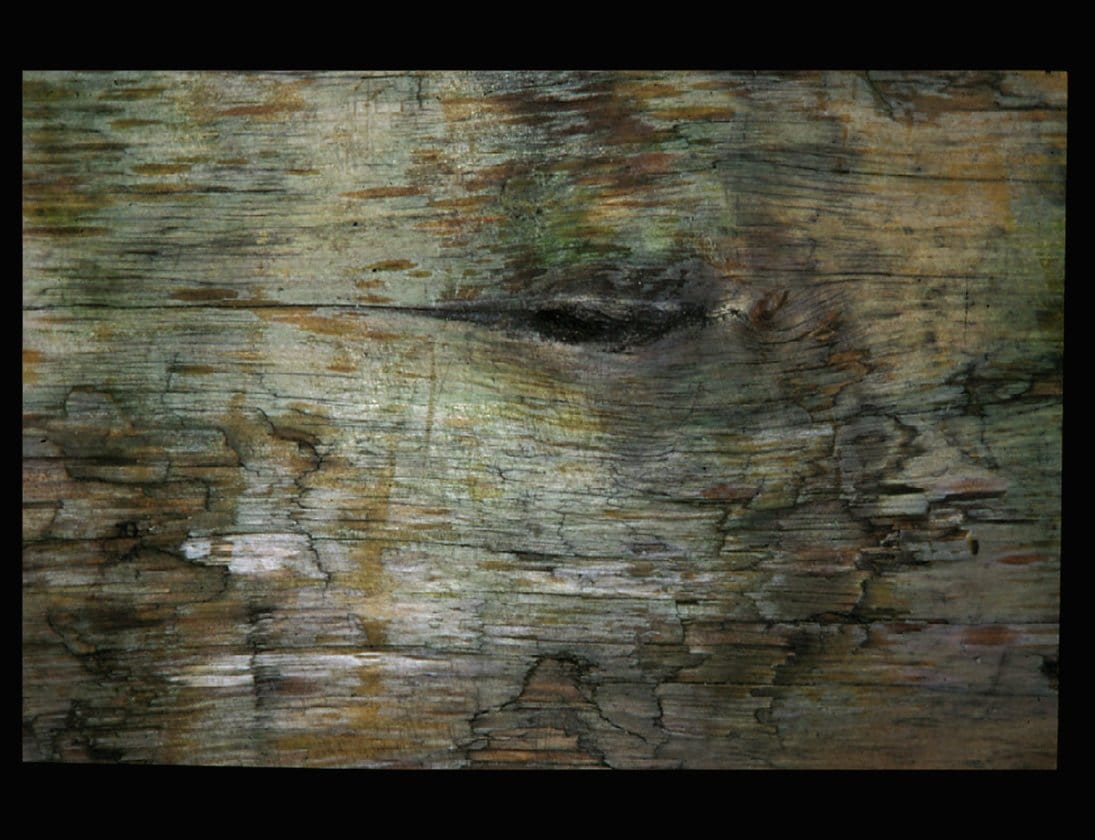 Zohar photo Driftwood 18   1/200 Art Works Gallery