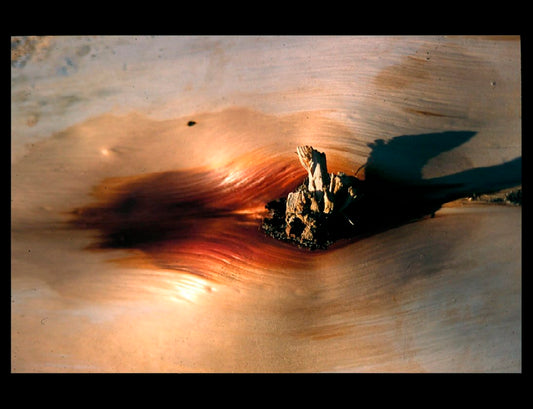 Zohar photo Driftwood 5 Art Works Gallery