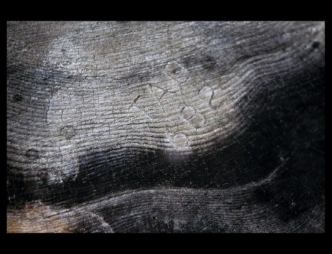Zohar photo Driftwood 76 Art Works Gallery