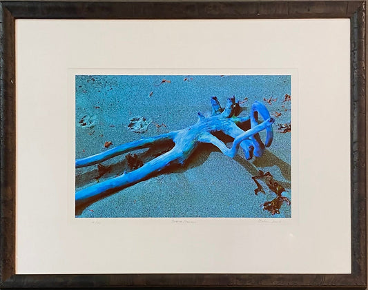 Zohar photo Jazz/Dream, framed Art Works Gallery