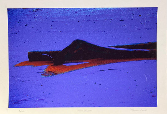 Zohar photo Jazz/Night Art Works Gallery