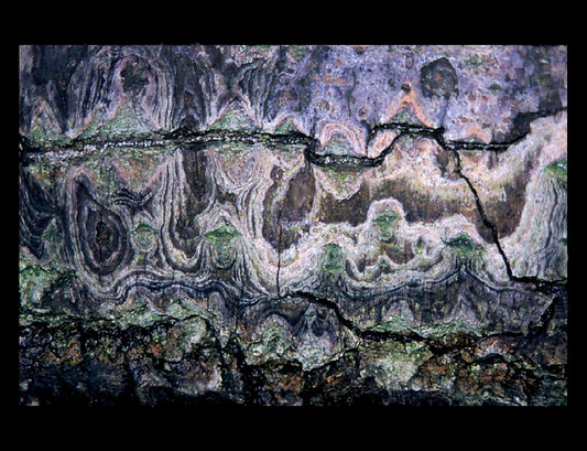 Zohar photo Jazz / Ways Of Seeing Art Works Gallery