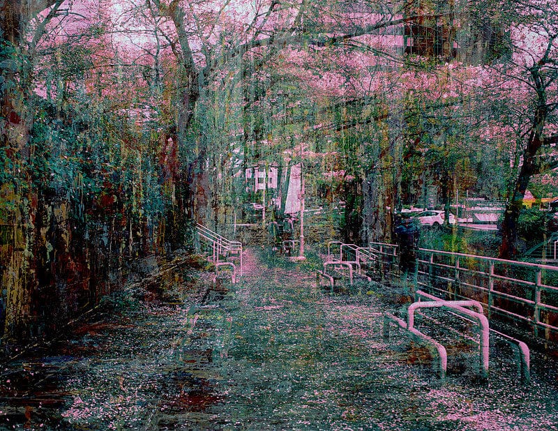David Tycho photo Spring No. 2 Art Works Gallery