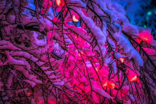 Douglas Hood photo 08_03_0002 Art Works Gallery