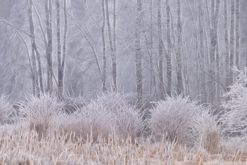 Douglas Hood photo 08-06-0001 Art Works Gallery