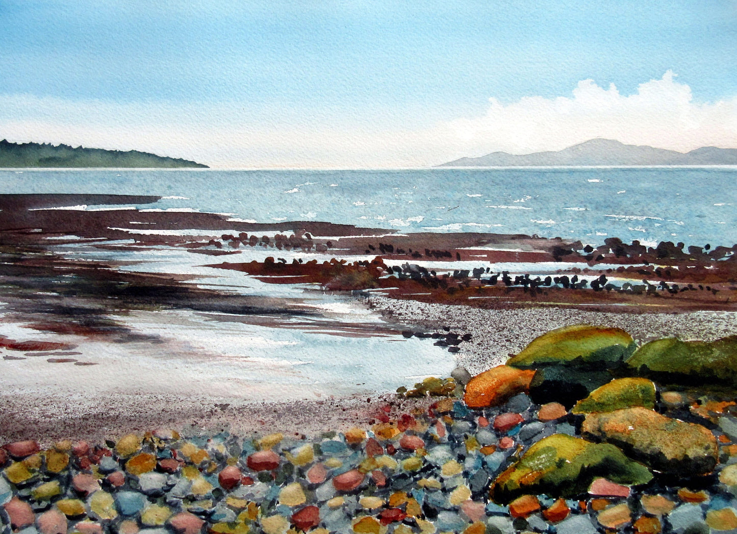 Enda Bardell painting BUSTLING BEACH, Point Grey Foreshore, Vancouver, framed Art Works Gallery