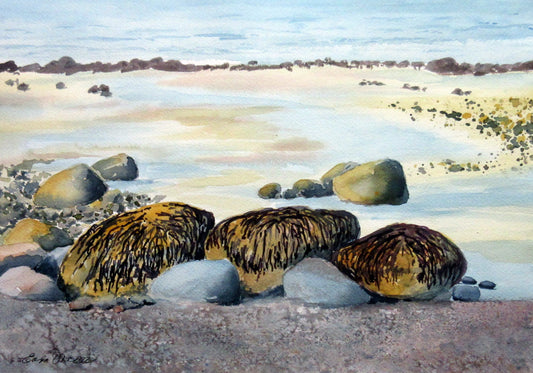 Enda Bardell painting ROCKWEED TRIO, Point Grey Foreshore, Vancouver Art Works Gallery