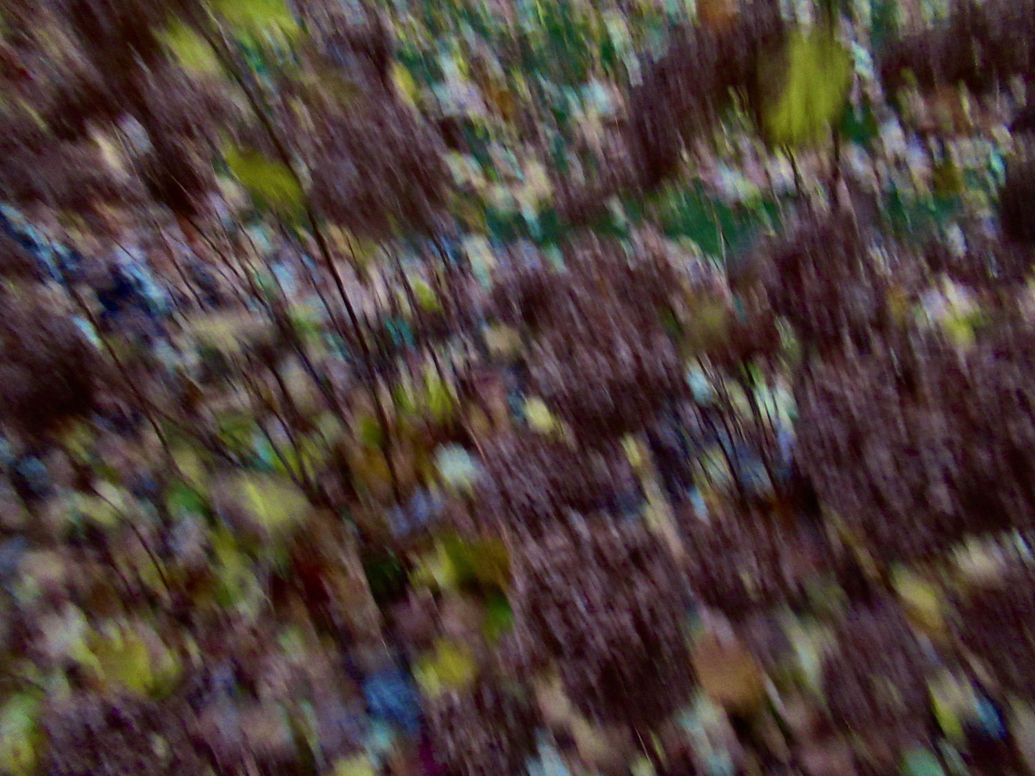 Landscape Image