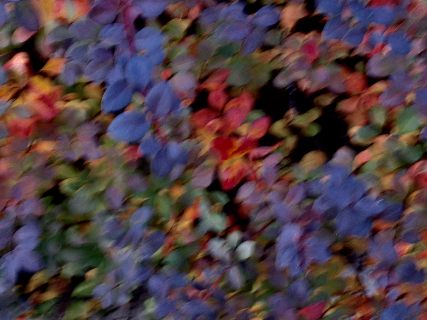 Abstract Image