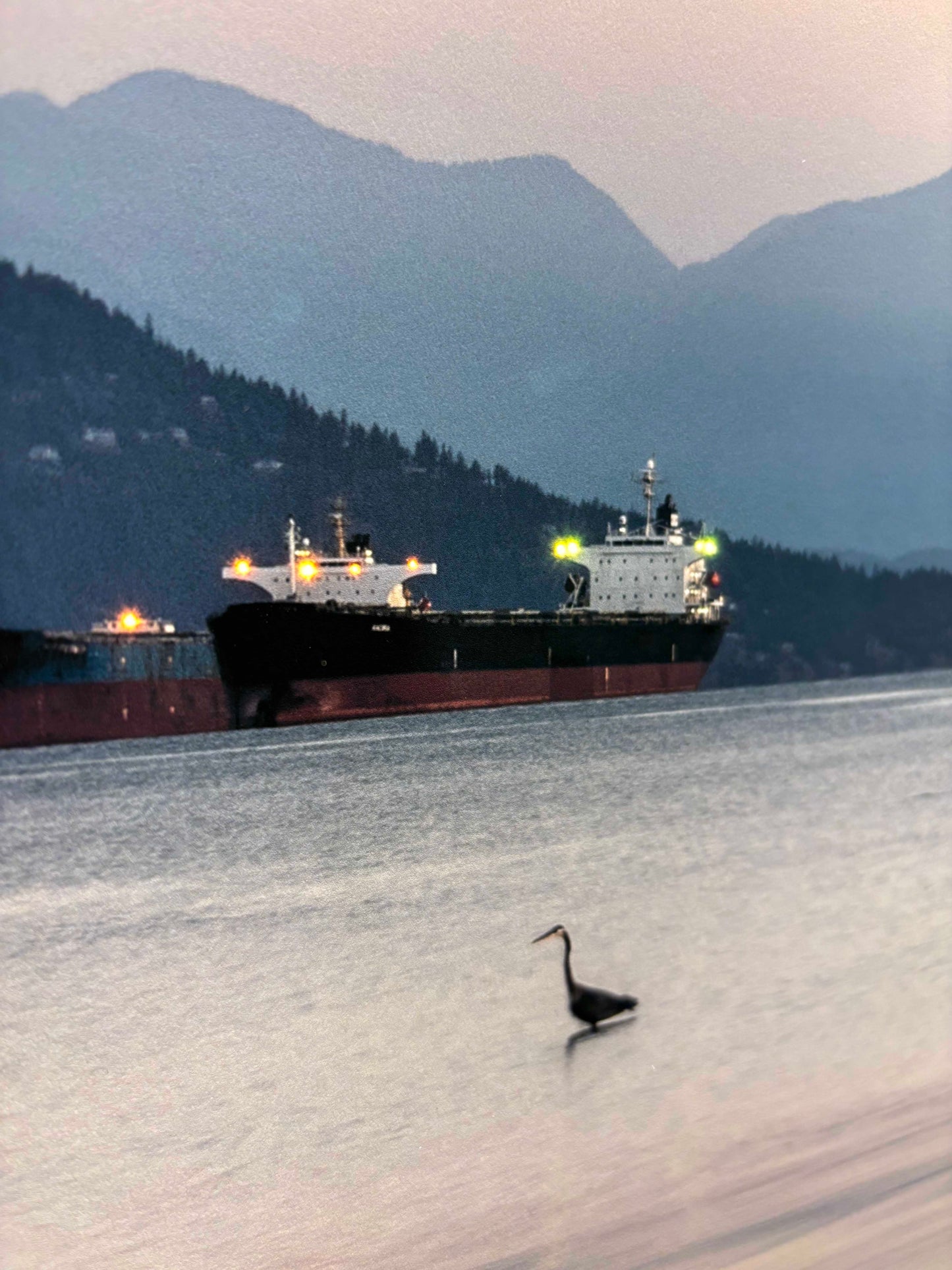 Marilaine Delisle photo Quiet Solace, framed Art Works Gallery