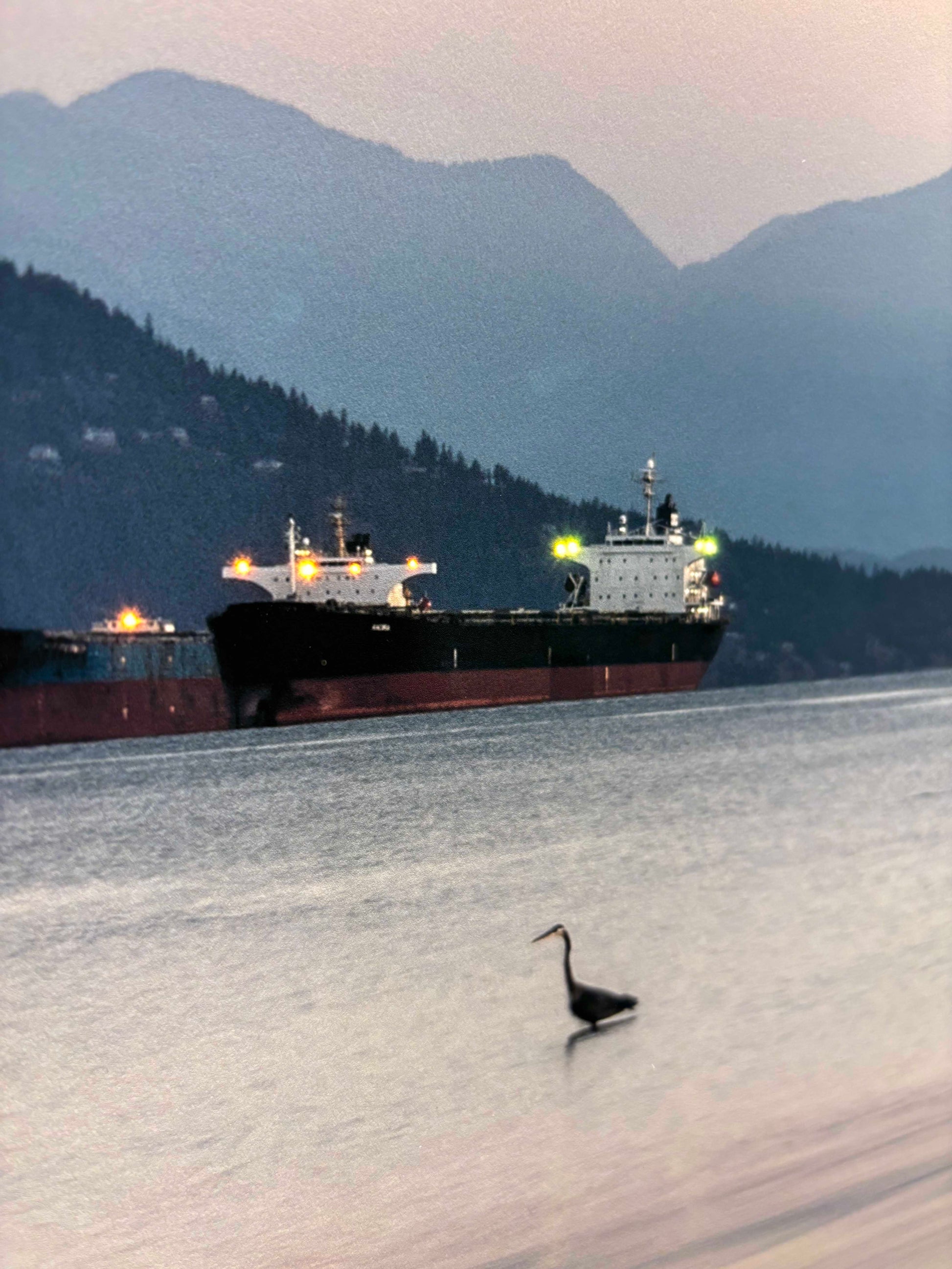 Marilaine Delisle photo Quiet Solace, framed Art Works Gallery