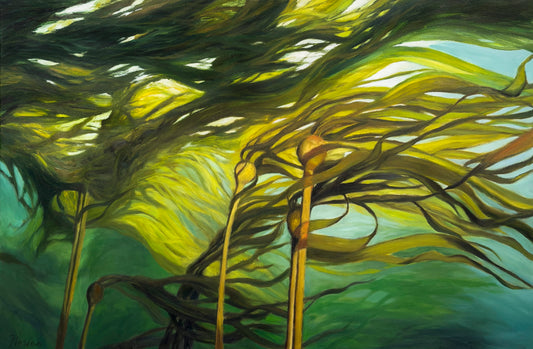 Robert Florian painting Current Situation - Bull Kelp study, Northern Pacific Ocean, B.C. Art Works Gallery