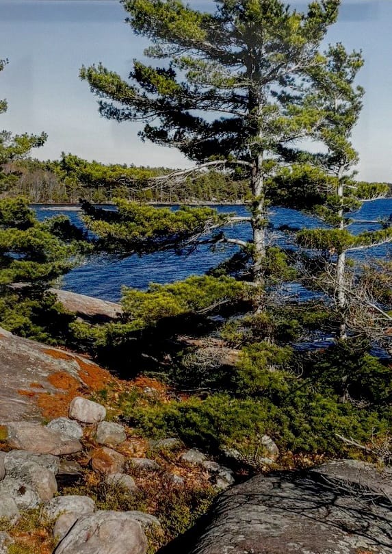 Robert Florian photo Framed Photo - Killbear National Park, Ontario Art Works Gallery
