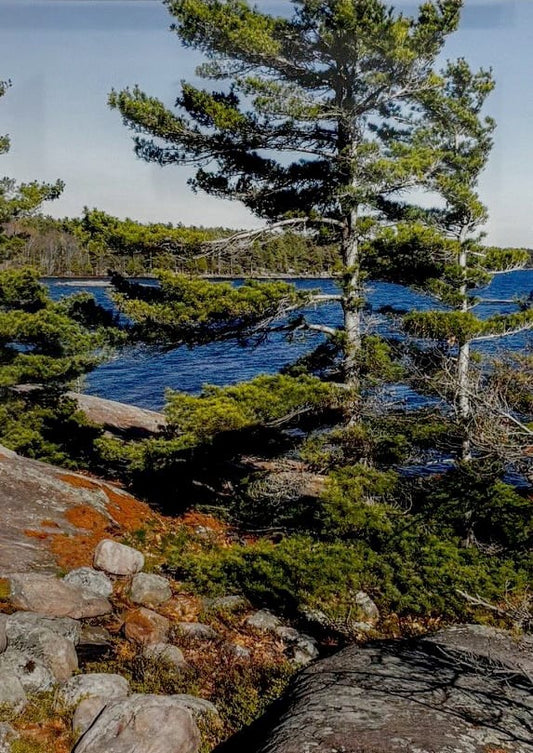 Robert Florian photo Framed Photo - Killbear National Park, Ontario Art Works Gallery
