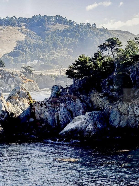 Robert Florian photo Framed Photo - Point Lobos, California, 2025 Art Works Gallery