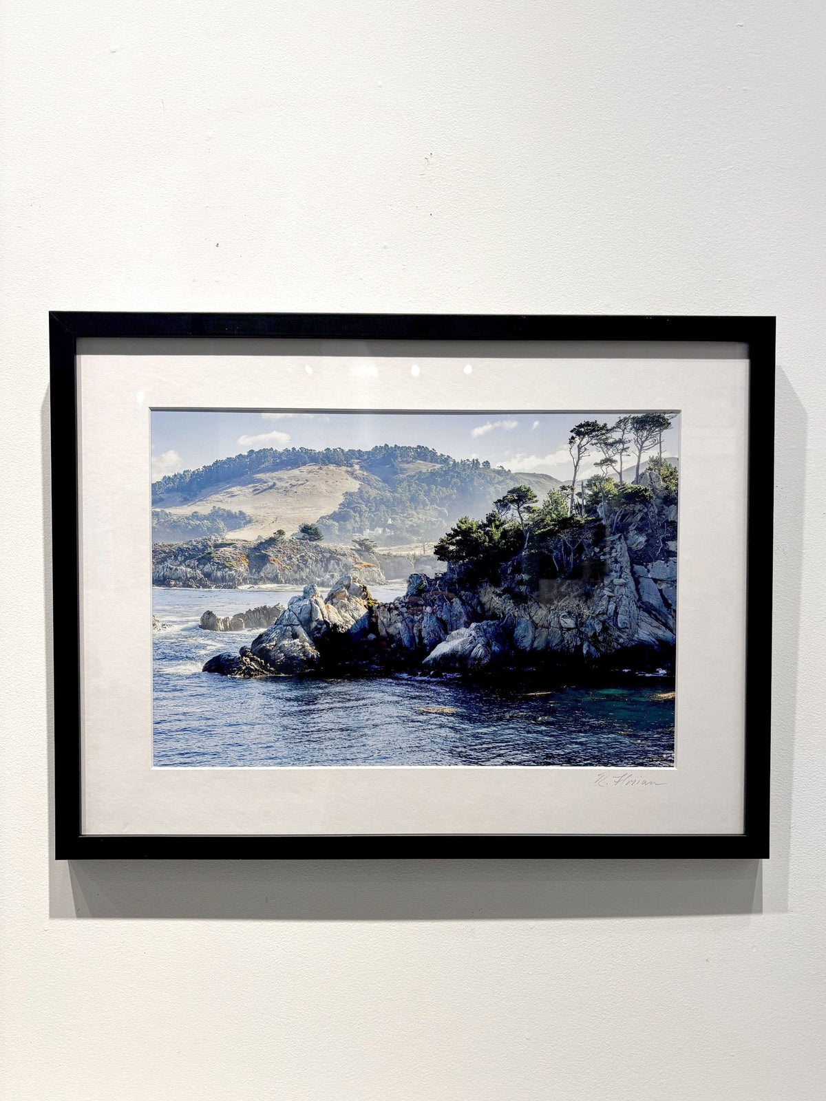 Robert Florian photo Framed Photo - Point Lobos, California, 2025 Art Works Gallery