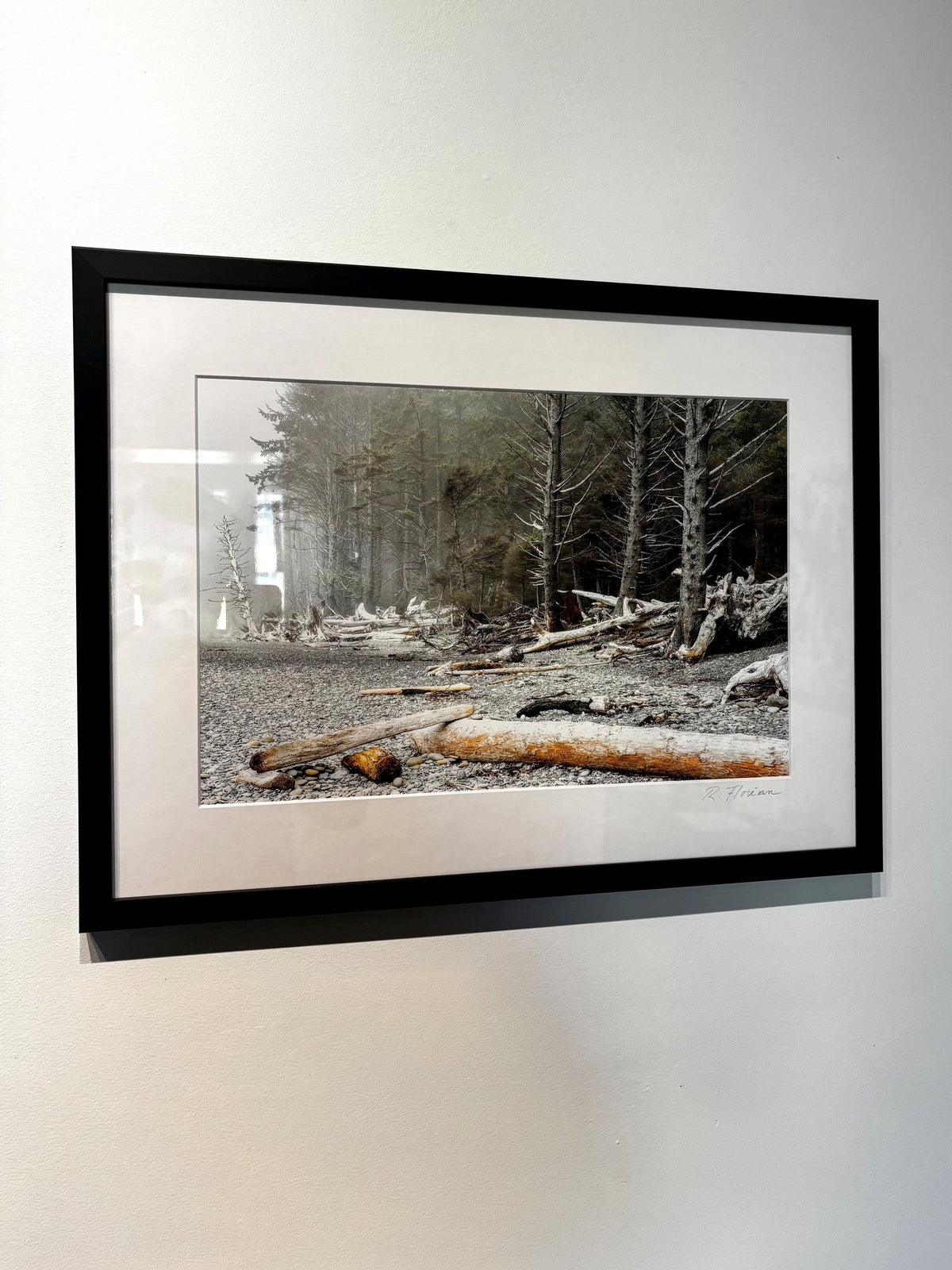 Robert Florian photo Framed Photo - Rialto Beach, Washington State Art Works Gallery