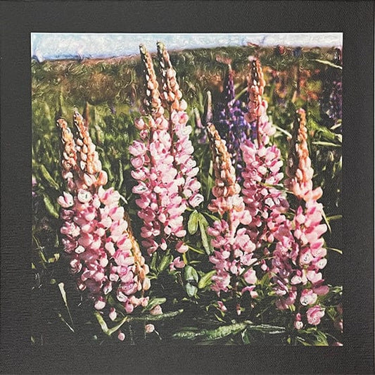 Ross photo Pink Lupines Art Works Gallery