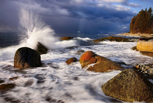 Shel Neufeld Wave at Flume Art Works Gallery