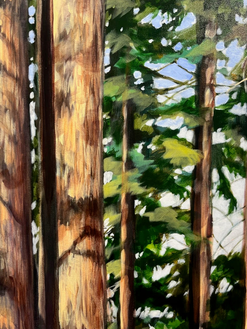 Steve Rayner painting Forest Promise Art Works Gallery