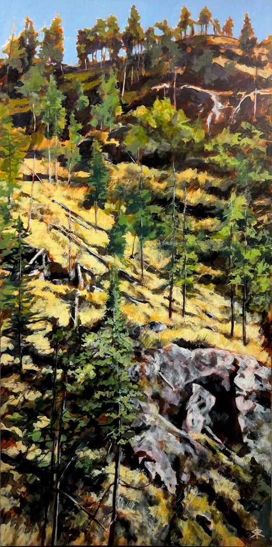 Steve Rayner painting Okanagan Heights Art Works Gallery