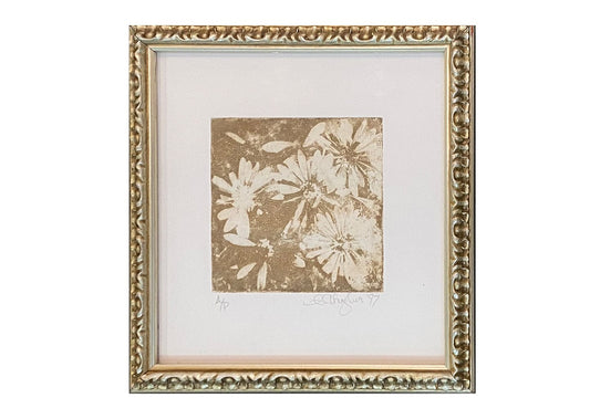 Ann Thinghuus limited edition Daisies, framed Art Works Gallery