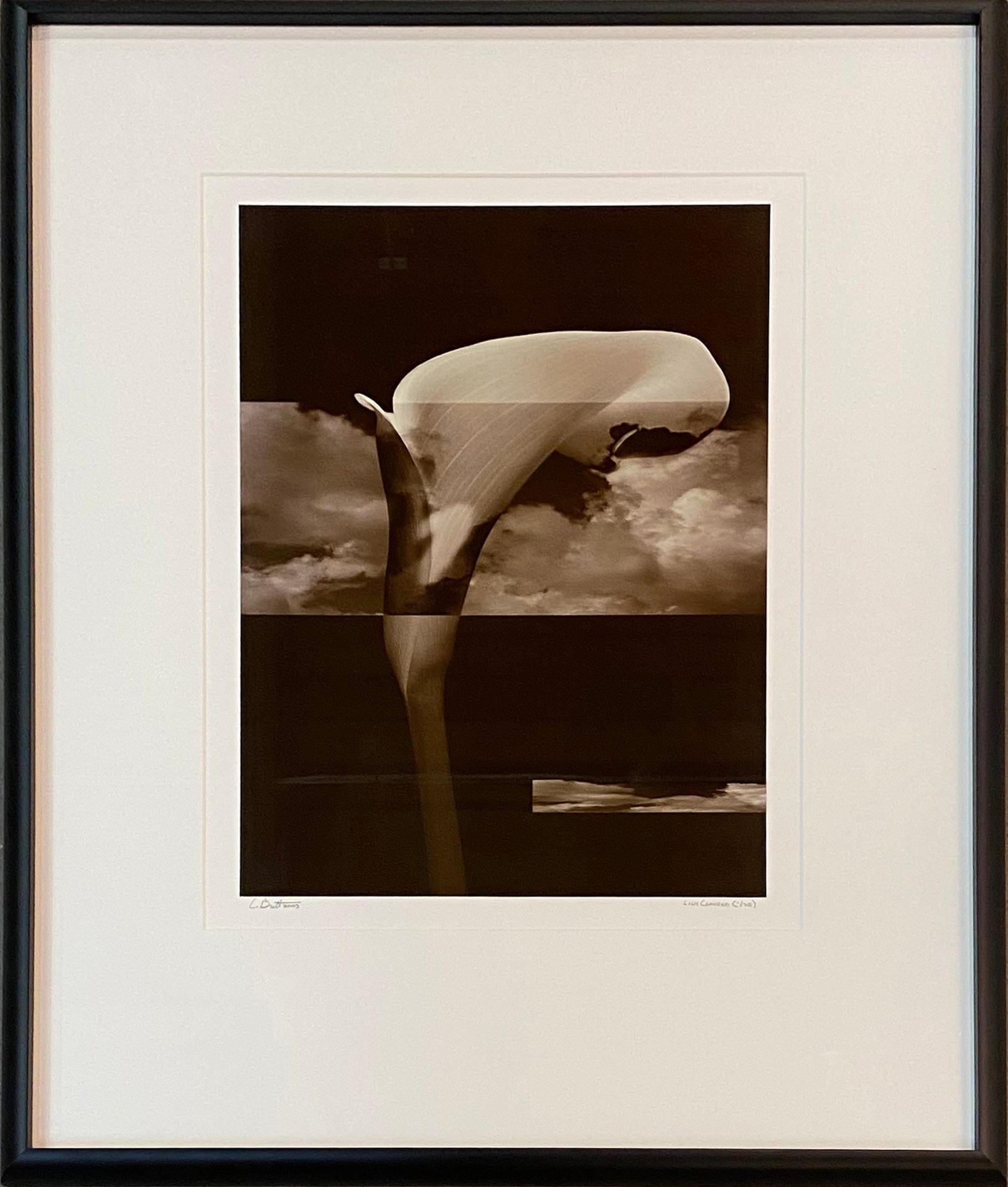 Charles Britt photo Lily Clouded (Edition 1/25), framed Art Works Gallery