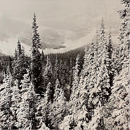 Clay Davidson photo Crowfoot Glacier Alberta 1/10, framed Art Works Gallery