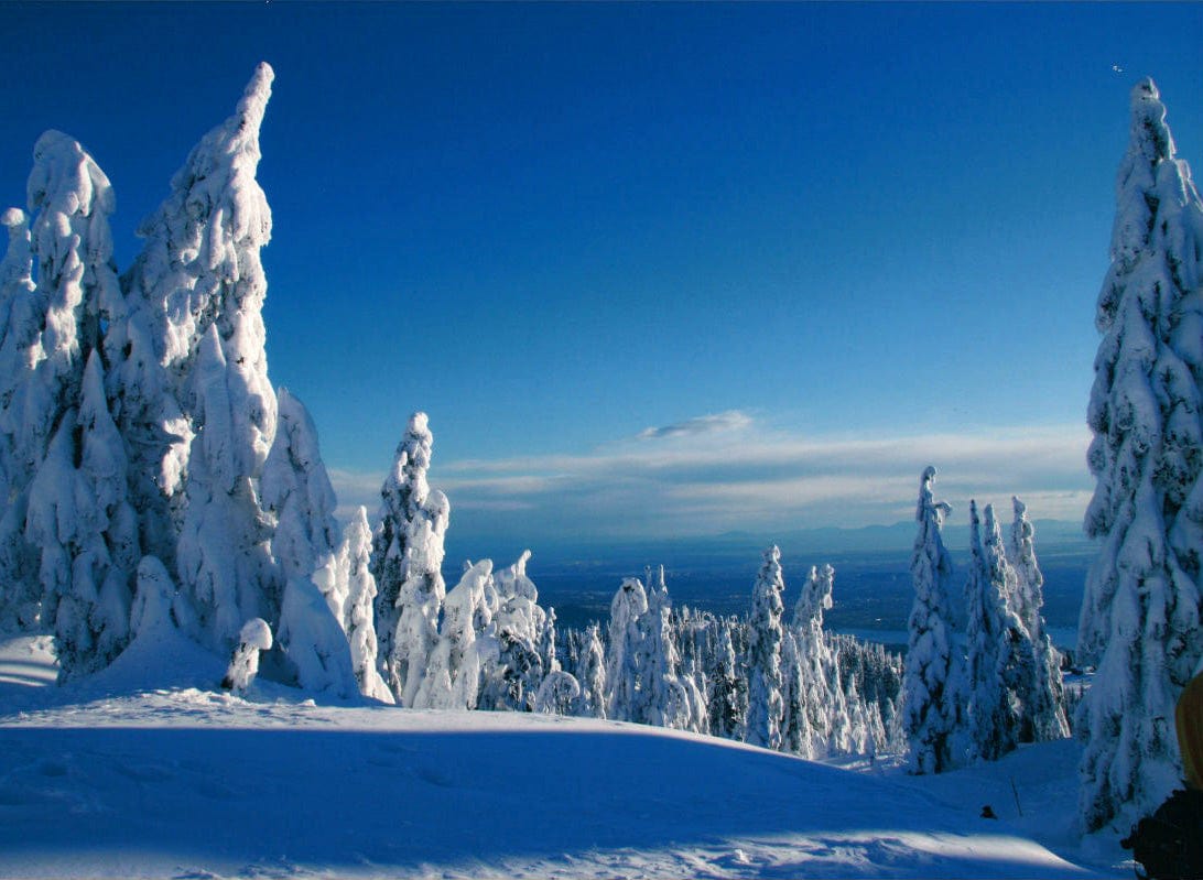 Nansi Kivisto photo Grouse Mountain View Art Works Gallery