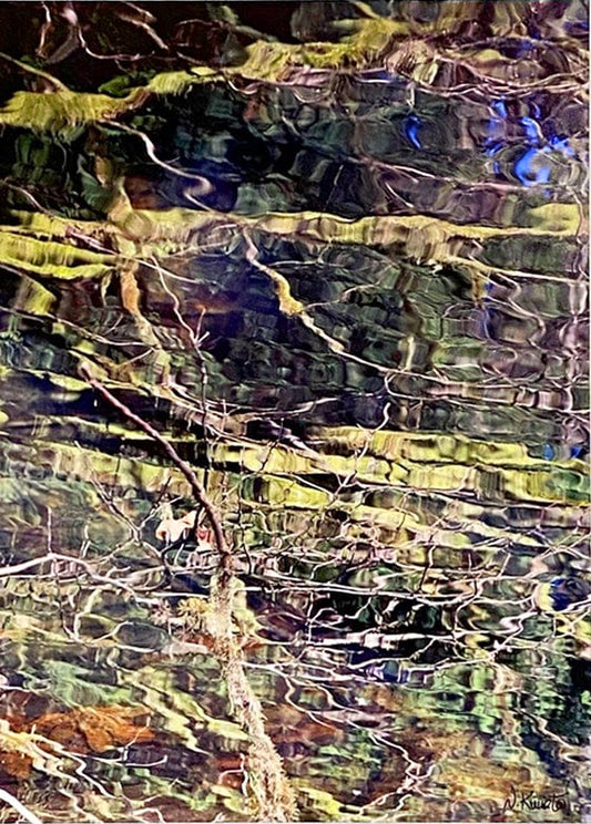 Nansi Kivisto photo White Pine Abstract, framed Art Works Gallery
