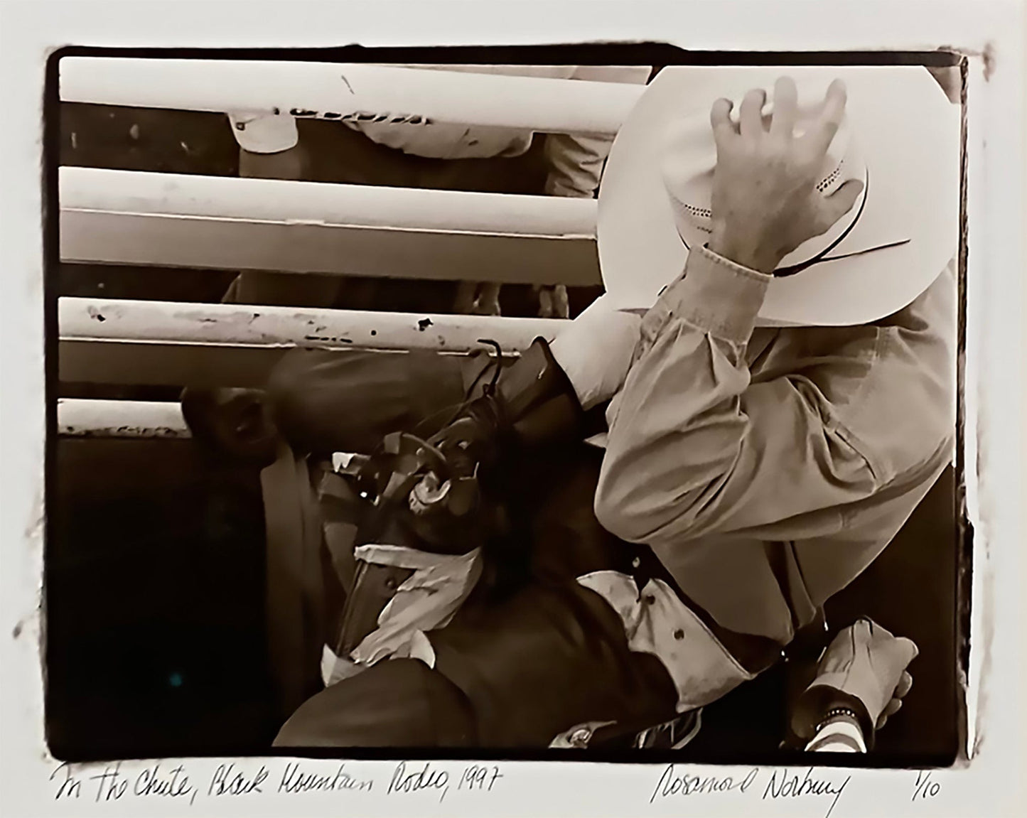 Rosamond Norbury photo In the Chute, Blk Mtn Rodeo 1/10, framed Art Works Gallery