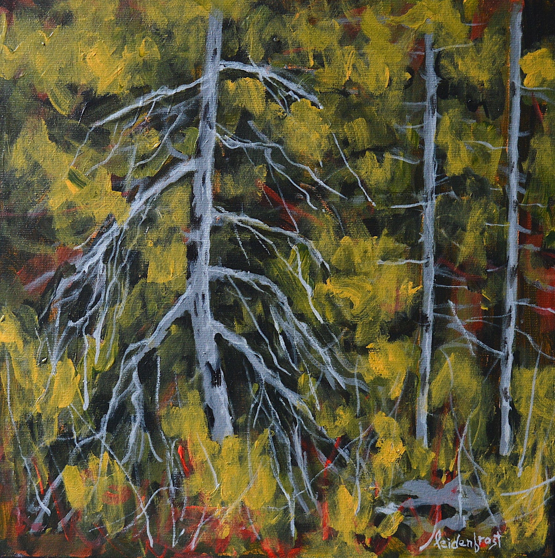 Wayne Leidenfrost painting Into the Forest Art Works Gallery